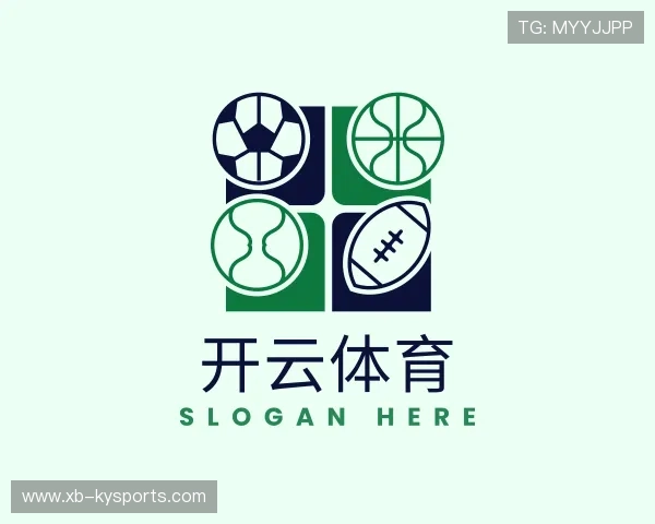 关于开云体育app入口